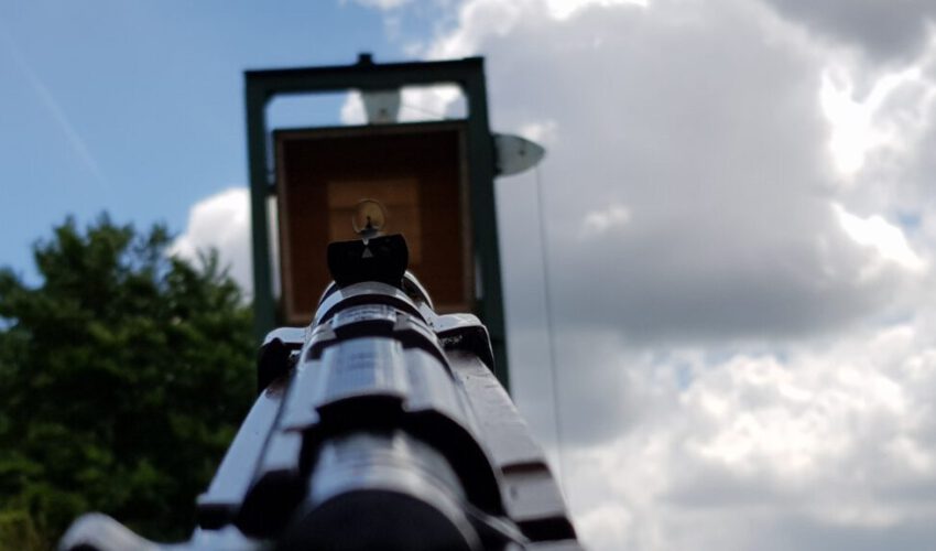 Königsvogelschießen