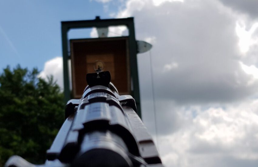 Königsvogelschießen